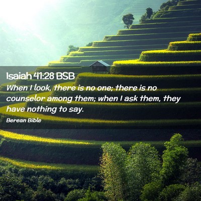 Picture 02 - Isaiah 41:28 BSB - When I look, there is no one; there is no - Bible Verse Picture
