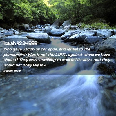 Picture 02 - Isaiah 42:24 BSB - Who gave Jacob up for spoil, and Israel to the - Bible Verse Picture