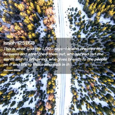 Picture 02 - Isaiah 42:5 BSB - This is what God the LORD says—He who created - Bible Verse Picture