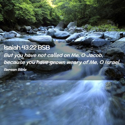 Picture 02 - Isaiah 43:22 BSB - But you have not called on Me, O Jacob, because - Bible Verse Picture
