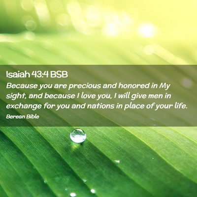 Picture 02 - Isaiah 43:4 BSB - Because you are precious and honored in My sight, - Bible Verse Picture