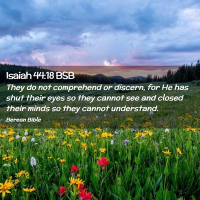 Picture 02 - Isaiah 44:18 BSB - They do not comprehend or discern, for He has - Bible Verse Picture