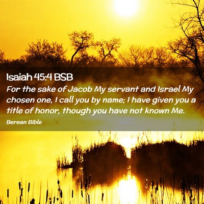 Picture 02 - Isaiah 45:4 BSB - For the sake of Jacob My servant and Israel My - Bible Verse Picture