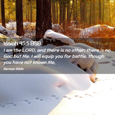 Picture 02 - Isaiah 45:5 BSB - I am the LORD, and there is no other; there is no - Bible Verse Picture