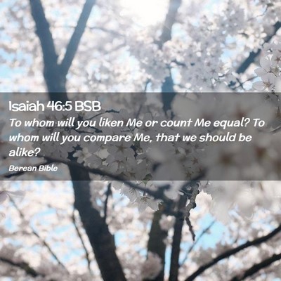 Picture 02 - Isaiah 46:5 BSB - To whom will you liken Me or count Me equal? To - Bible Verse Picture