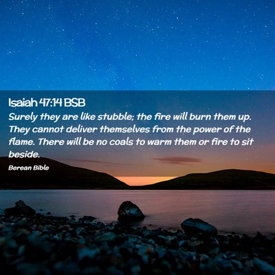 Picture 02 - Isaiah 47:14 BSB - Surely they are like stubble; the fire will burn - Bible Verse Picture