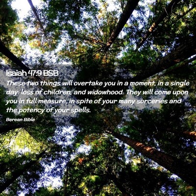 Picture 02 - Isaiah 47:9 BSB - These two things will overtake you in a moment, - Bible Verse Picture