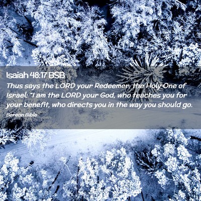 Picture 02 - Isaiah 48:17 BSB - Thus says the LORD your Redeemer, the Holy One of - Bible Verse Picture