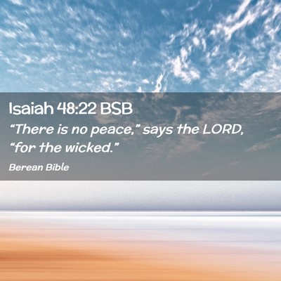 Picture 02 - Isaiah 48:22 BSB - “There is no peace,” says the LORD, “for - Bible Verse Picture