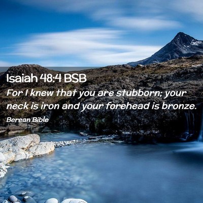 Picture 02 - Isaiah 48:4 BSB - For I knew that you are stubborn; your neck is - Bible Verse Picture