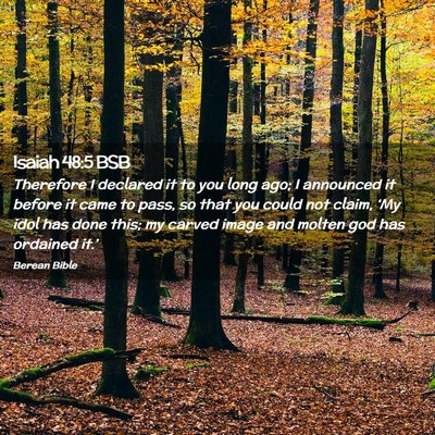 Picture 02 - Isaiah 48:5 BSB - Therefore I declared it to you long ago; I - Bible Verse Picture