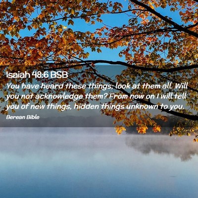 Picture 02 - Isaiah 48:6 BSB - You have heard these things; look at them all. - Bible Verse Picture