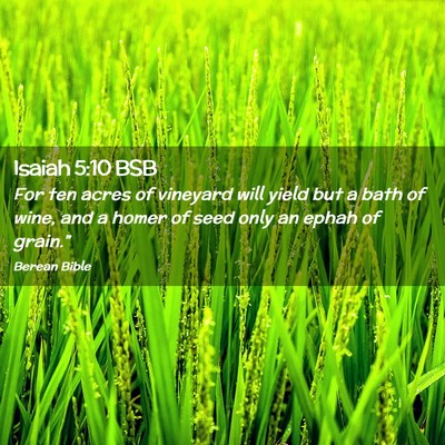 Picture 02 - Isaiah 5:10 BSB - For ten acres of vineyard will yield but a bath - Bible Verse Picture