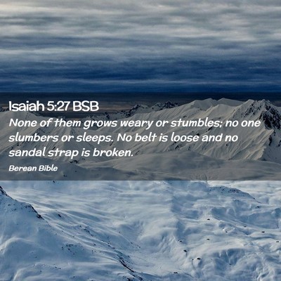 Picture 02 - Isaiah 5:27 BSB - None of them grows weary or stumbles; no one - Bible Verse Picture