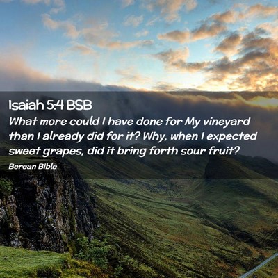 Picture 02 - Isaiah 5:4 BSB - What more could I have done for My vineyard than - Bible Verse Picture