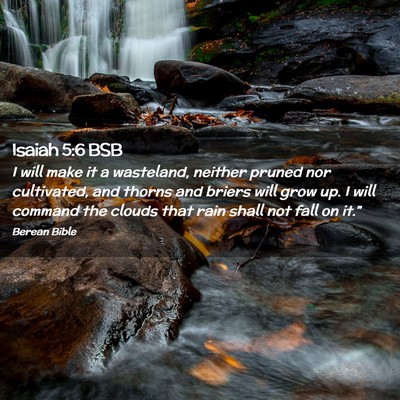Picture 02 - Isaiah 5:6 BSB - I will make it a wasteland, neither pruned nor - Bible Verse Picture