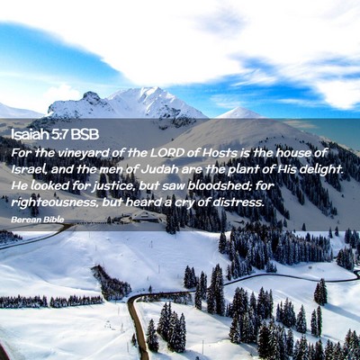 Picture 02 - Isaiah 5:7 BSB - For the vineyard of the LORD of Hosts is the - Bible Verse Picture
