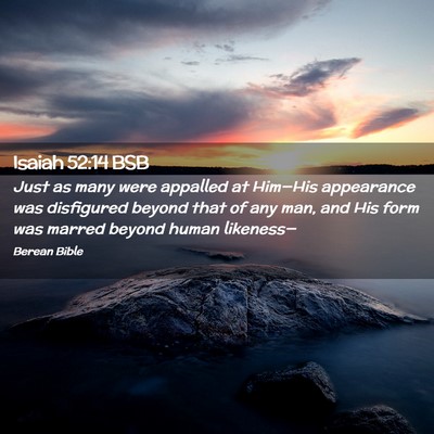 Picture 02 - Isaiah 52:14 BSB - Just as many were appalled at Him—His - Bible Verse Picture