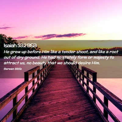 Picture 02 - Isaiah 53:2 BSB - He grew up before Him like a tender shoot, and - Bible Verse Picture