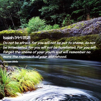Picture 02 - Isaiah 54:4 BSB - Do not be afraid, for you will not be put to - Bible Verse Picture