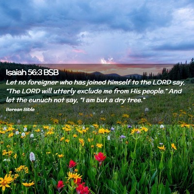 Picture 02 - Isaiah 56:3 BSB - Let no foreigner who has joined himself to the - Bible Verse Picture