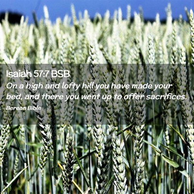 Picture 02 - Isaiah 57:7 BSB - On a high and lofty hill you have made your bed, - Bible Verse Picture