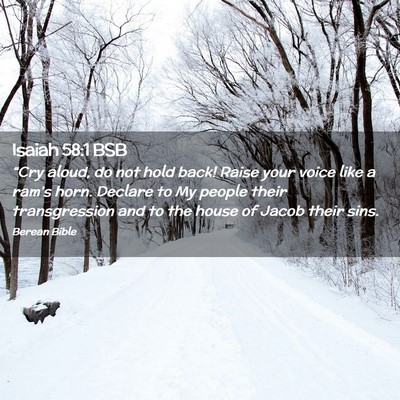 Picture 02 - Isaiah 58:1 BSB - “Cry aloud, do not hold back! Raise your voice - Bible Verse Picture
