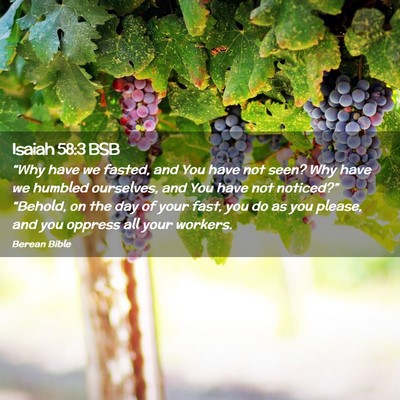 Picture 02 - Isaiah 58:3 BSB - “Why have we fasted, and You have not seen? Why - Bible Verse Picture