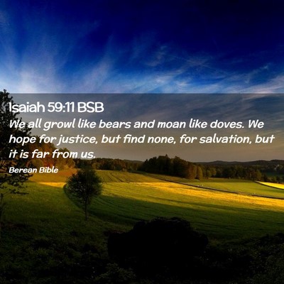 Picture 02 - Isaiah 59:11 BSB - We all growl like bears and moan like doves. We - Bible Verse Picture