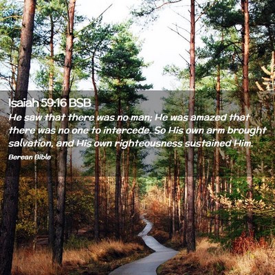 Picture 02 - Isaiah 59:16 BSB - He saw that there was no man; He was amazed that - Bible Verse Picture