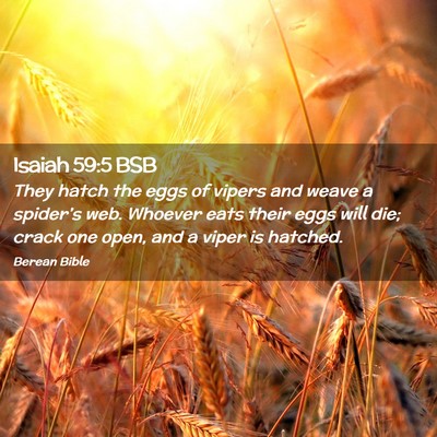Picture 02 - Isaiah 59:5 BSB - They hatch the eggs of vipers and weave a - Bible Verse Picture