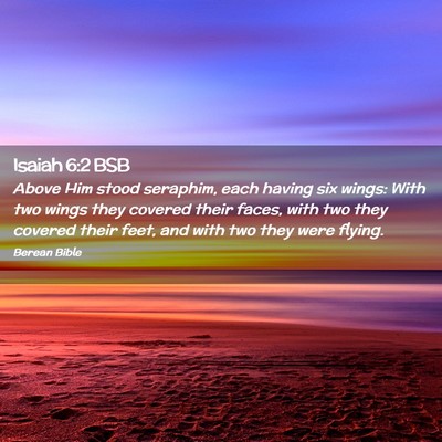Picture 02 - Isaiah 6:2 BSB - Above Him stood seraphim, each having six wings: - Bible Verse Picture