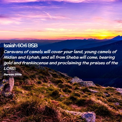 Picture 02 - Isaiah 60:6 BSB - Caravans of camels will cover your land, young - Bible Verse Picture