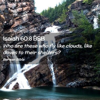 Picture 02 - Isaiah 60:8 BSB - Who are these who fly like clouds, like doves to - Bible Verse Picture