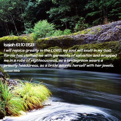 Picture 02 - Isaiah 61:10 BSB - I will rejoice greatly in the LORD, my soul will - Bible Verse Picture