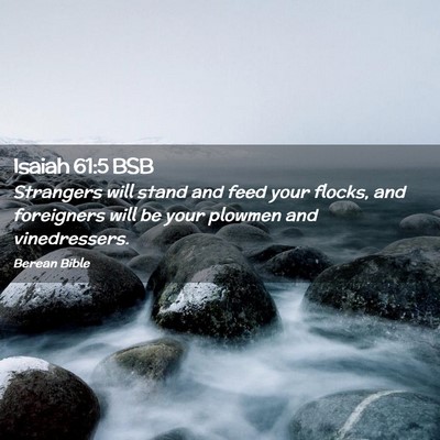 Picture 02 - Isaiah 61:5 BSB - Strangers will stand and feed your flocks, and - Bible Verse Picture