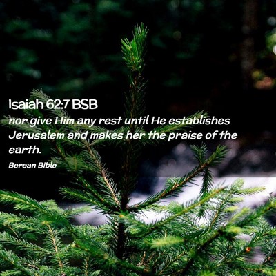 Picture 02 - Isaiah 62:7 BSB - nor give Him any rest until He establishes - Bible Verse Picture