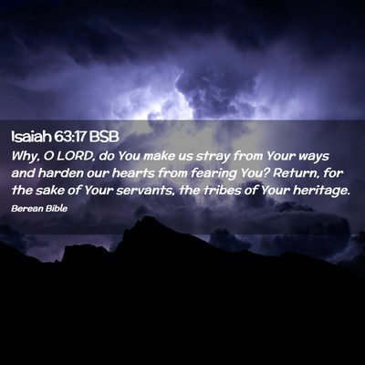 Picture 02 - Isaiah 63:17 BSB - Why, O LORD, do You make us stray from Your ways - Bible Verse Picture