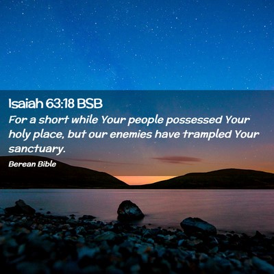 Picture 02 - Isaiah 63:18 BSB - For a short while Your people possessed Your holy - Bible Verse Picture