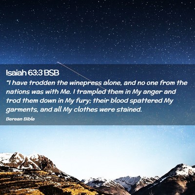 Picture 02 - Isaiah 63:3 BSB - “I have trodden the winepress alone, and no one - Bible Verse Picture