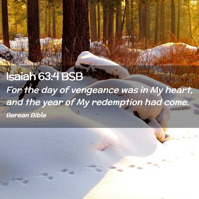 Picture 02 - Isaiah 63:4 BSB - For the day of vengeance was in My heart, and the - Bible Verse Picture