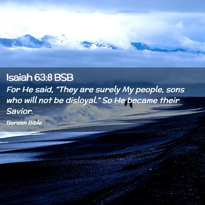 Picture 02 - Isaiah 63:8 BSB - For He said, “They are surely My people, sons - Bible Verse Picture
