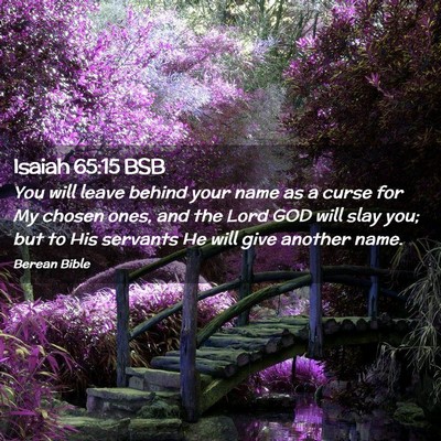 Picture 02 - Isaiah 65:15 BSB - You will leave behind your name as a curse for My - Bible Verse Picture