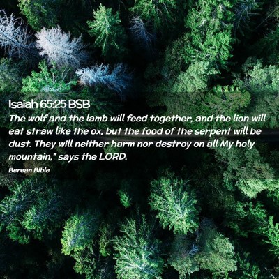Picture 02 - Isaiah 65:25 BSB - The wolf and the lamb will feed together, and the - Bible Verse Picture