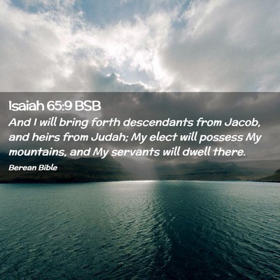 Picture 02 - Isaiah 65:9 BSB - And I will bring forth descendants from Jacob, - Bible Verse Picture