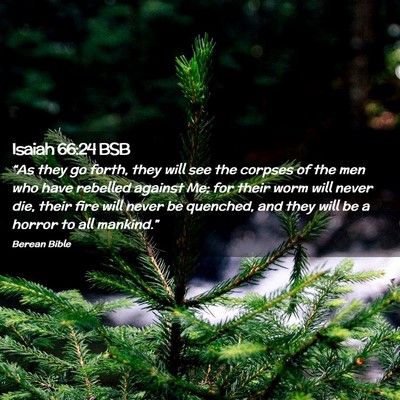 Picture 02 - Isaiah 66:24 BSB - “As they go forth, they will see the corpses of - Bible Verse Picture