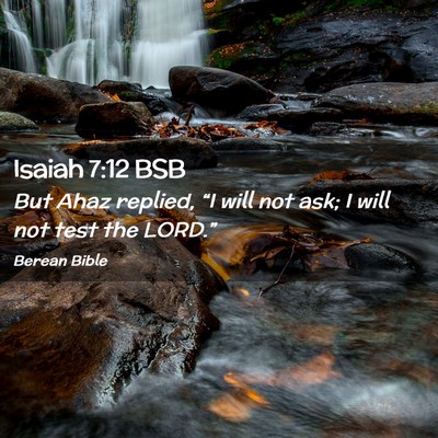 Picture 02 - Isaiah 7:12 BSB - But Ahaz replied, “I will not ask; I will not - Bible Verse Picture