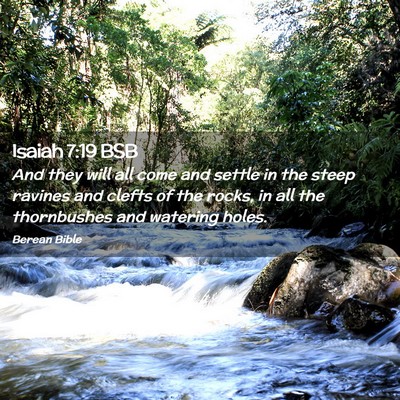 Picture 02 - Isaiah 7:19 BSB - And they will all come and settle in the steep - Bible Verse Picture