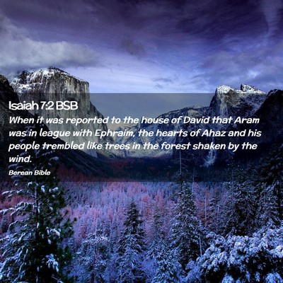 Picture 02 - Isaiah 7:2 BSB - When it was reported to the house of David that - Bible Verse Picture