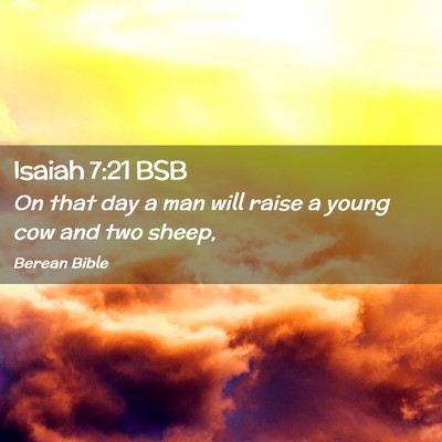 Picture 02 - Isaiah 7:21 BSB - On that day a man will raise a young cow and two - Bible Verse Picture